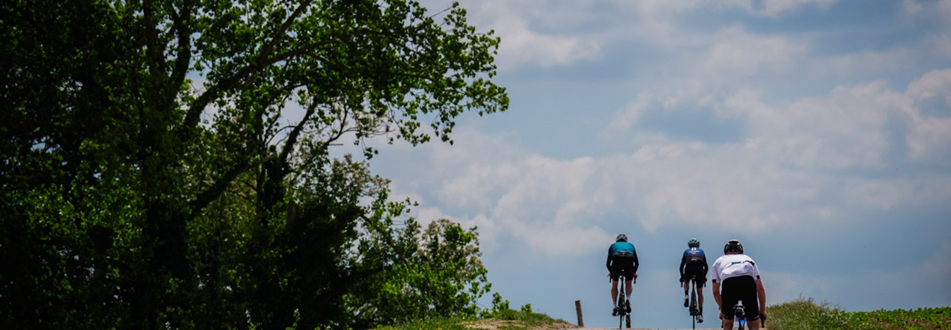 Our.Umbraco.Vorto.Models.VortoValue